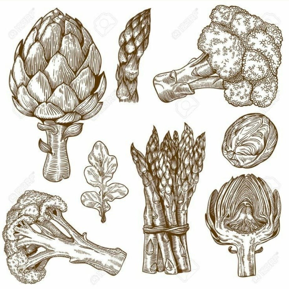 Menù vegetariano