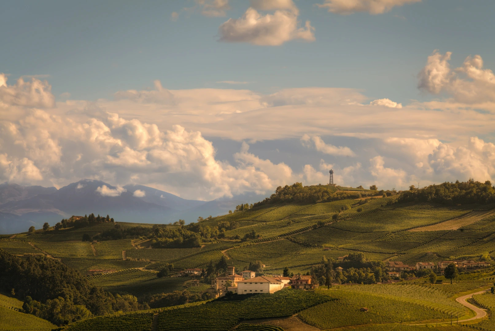 Through the Rolling Hills
