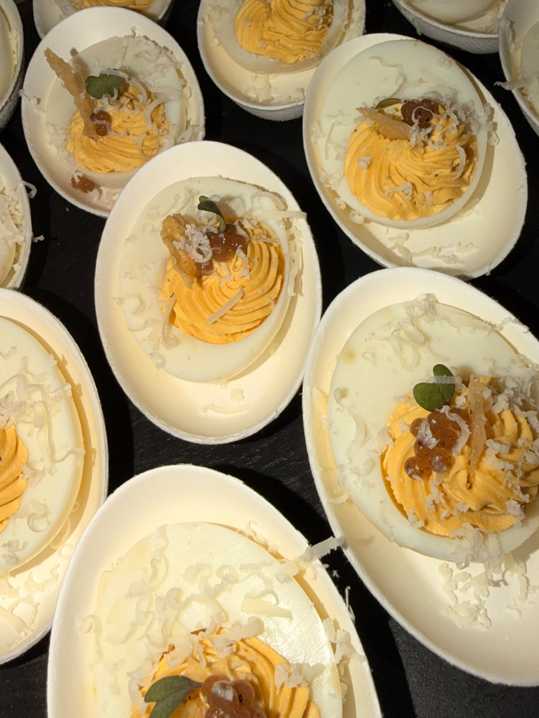 IMG_2325.jpeg IMG_2325.jpeg
