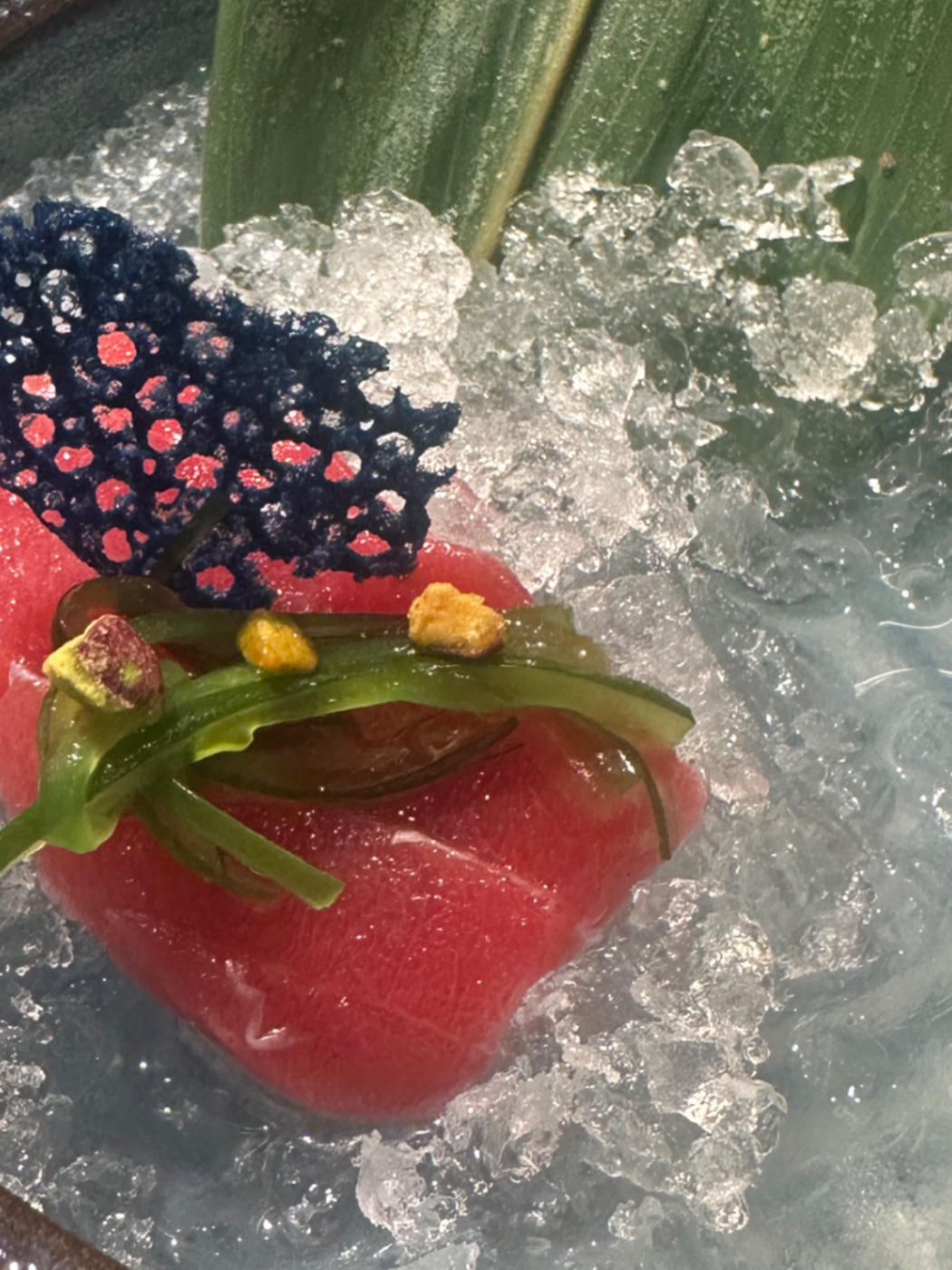 IMG_7930.jpeg IMG_7930.jpeg