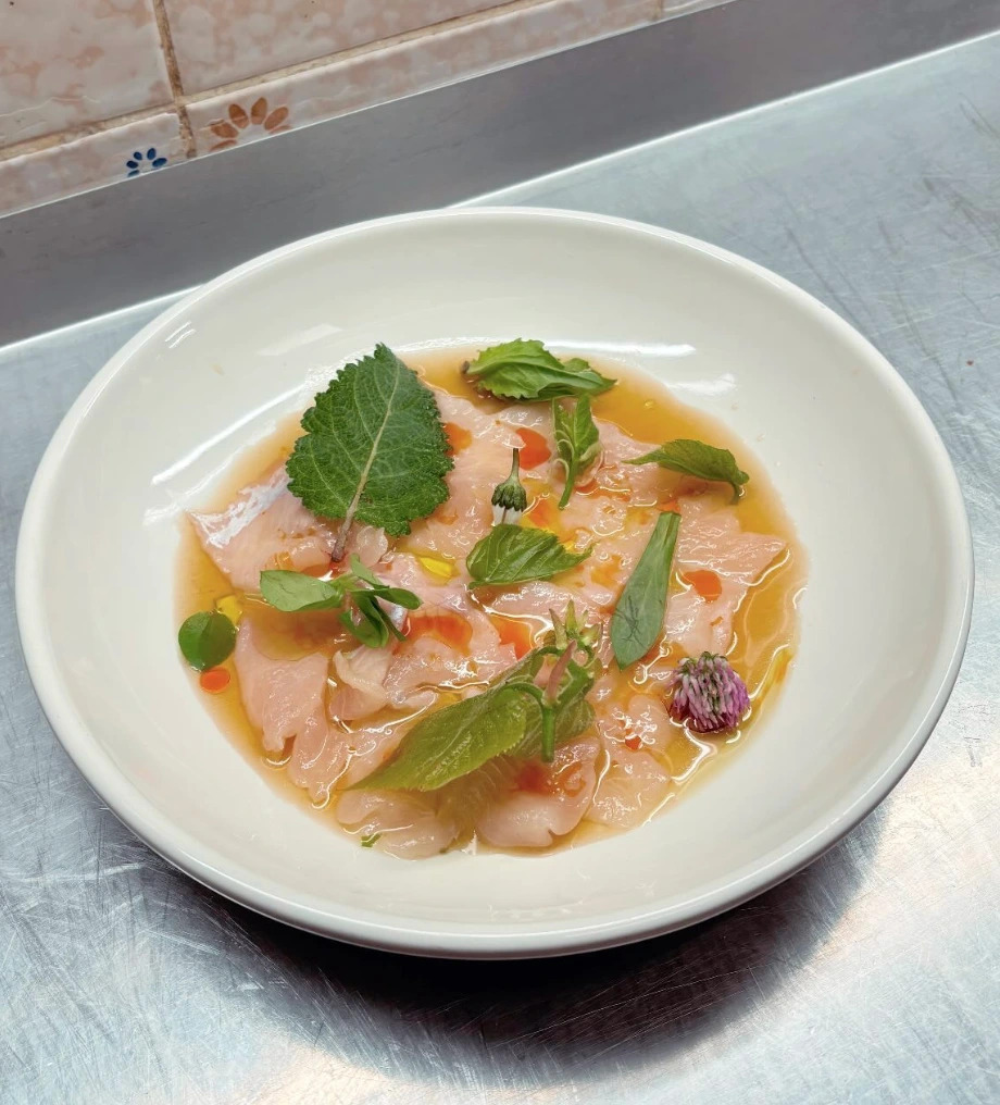 halmi-food-photo6.png halmi-food-photo6.png