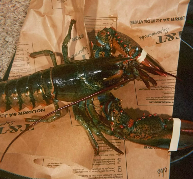 West Coast Cuisine