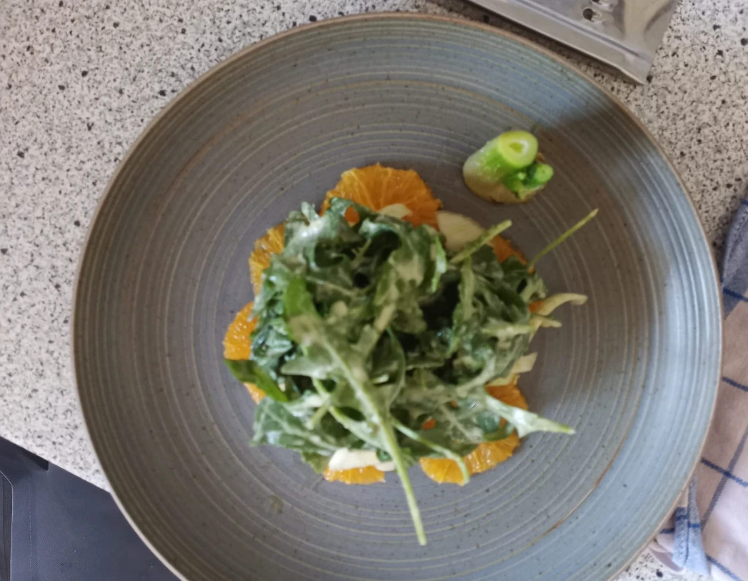 Orangen Fenchel Salat.jpeg Orangen Fenchel Salat.jpeg