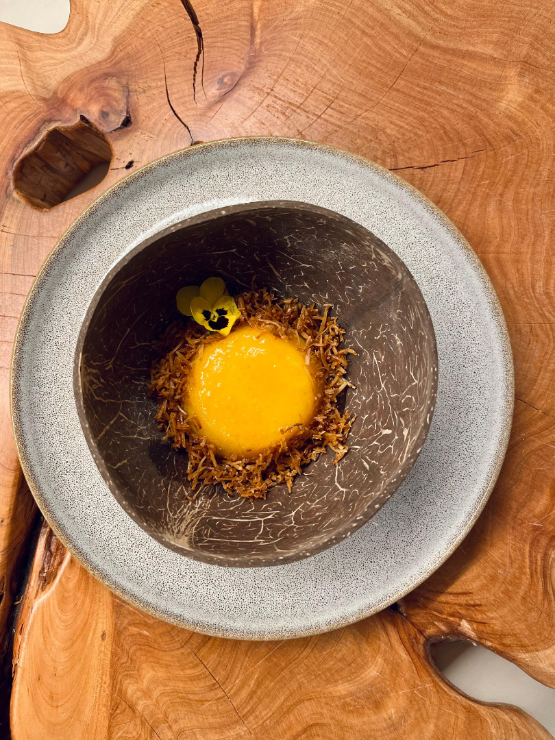 The Chef's Journey