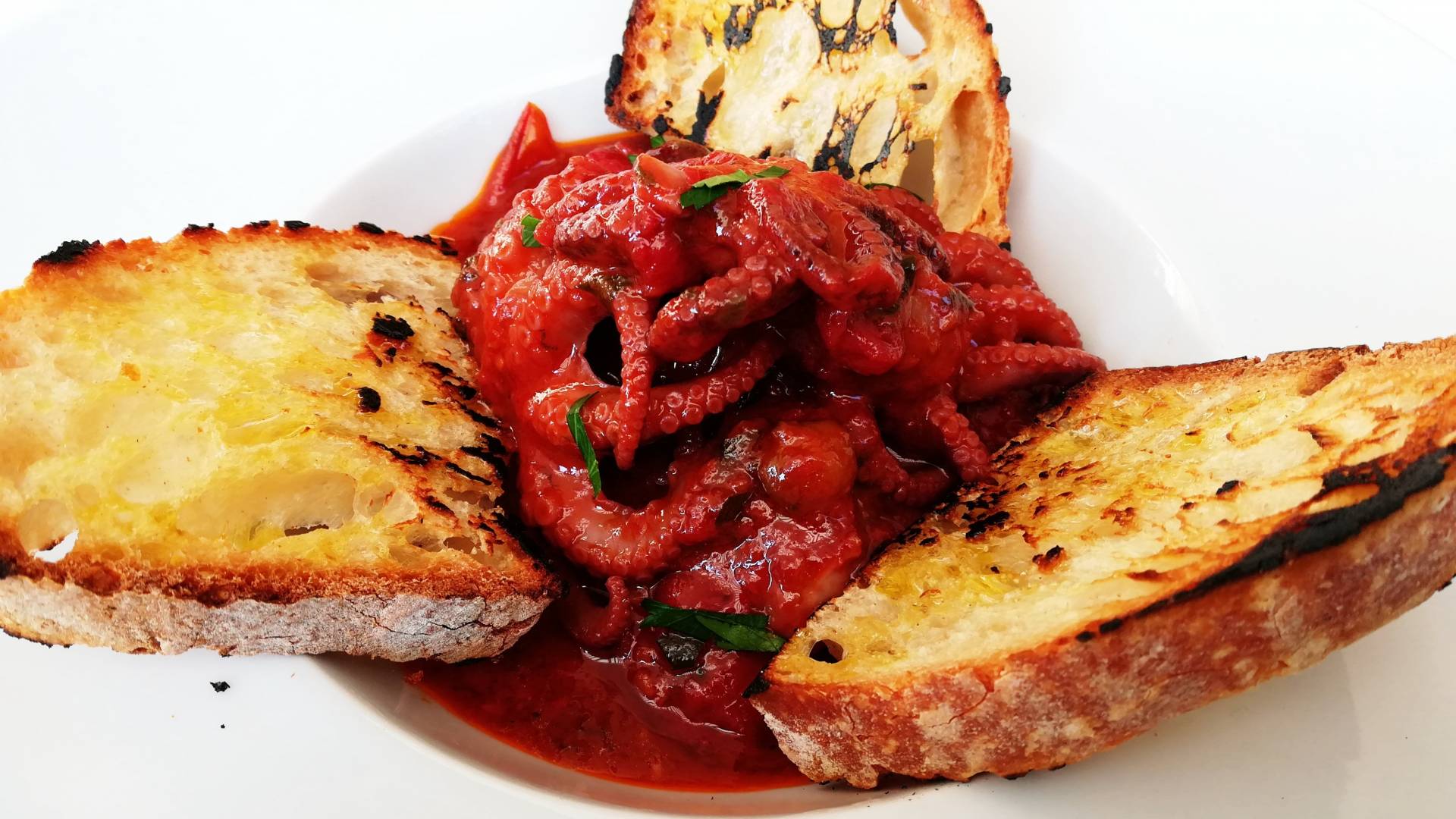 Baby octopus in a rich cherry tomato sauce.jpg