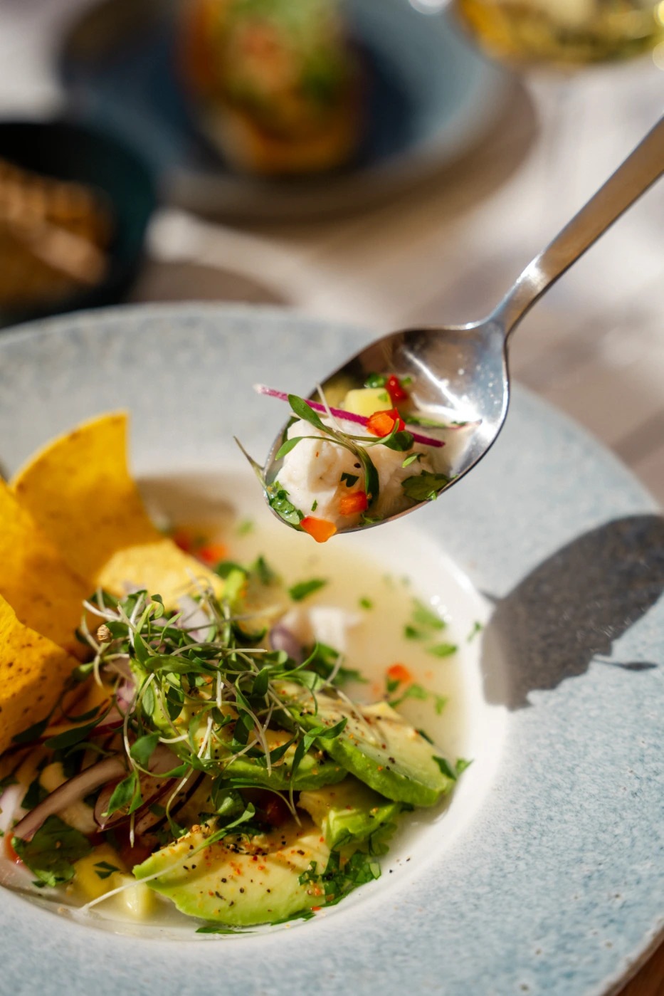 240902_Ceviche_TG-11.jpg