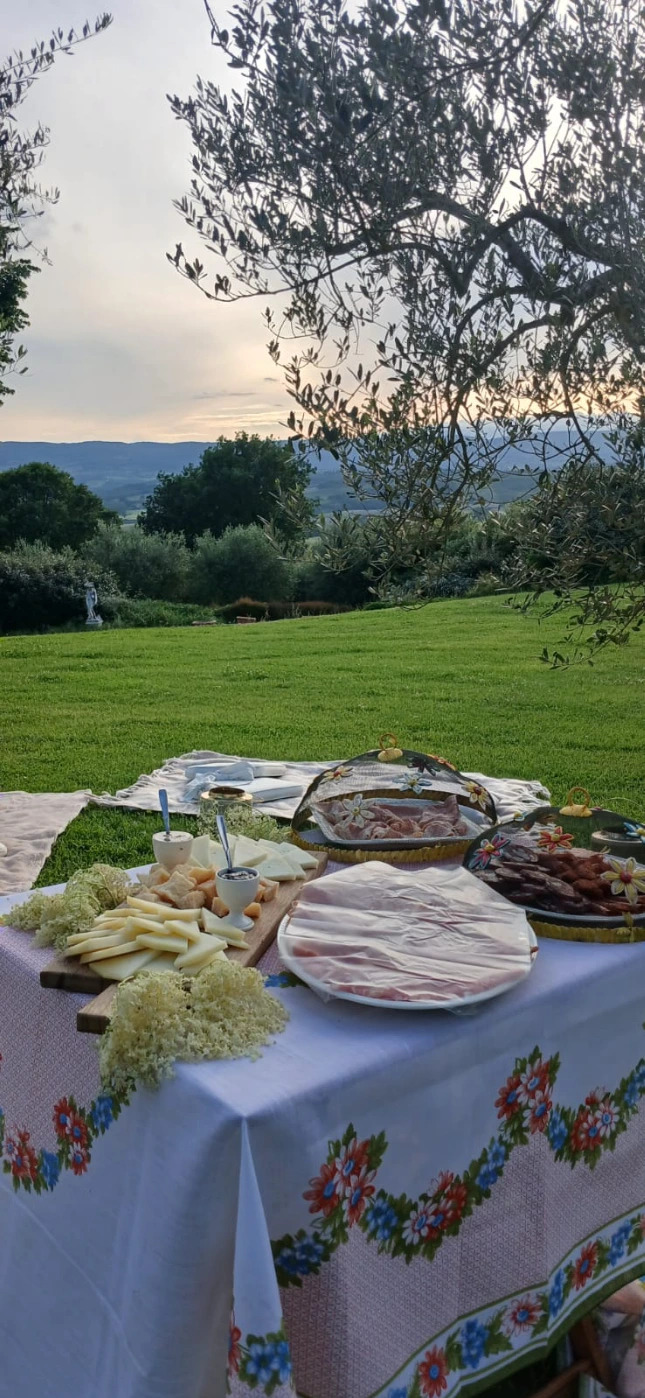 picnic4.jpeg
