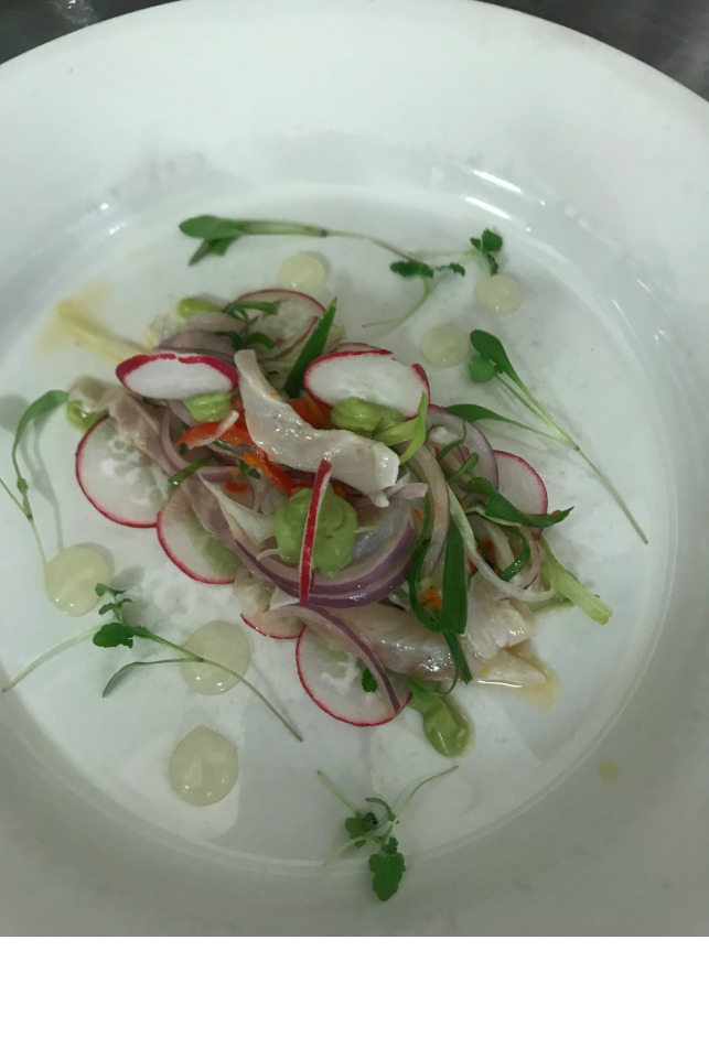 IMG_0510.png IMG_0510.png