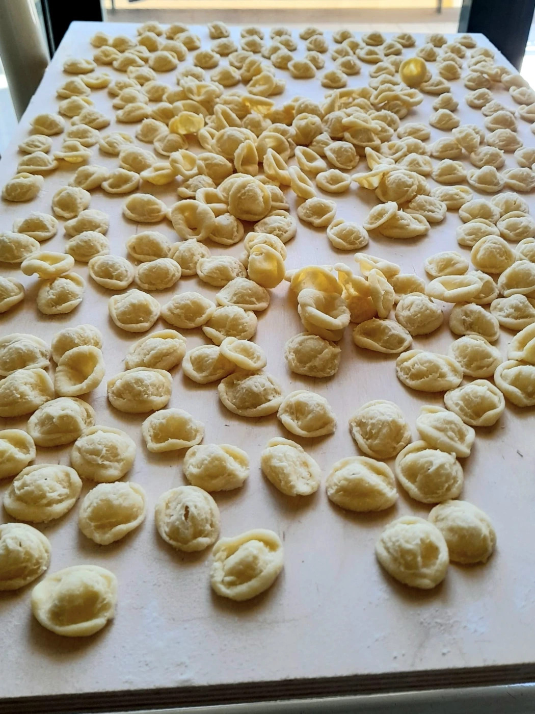 orecchiette.jpeg orecchiette.jpeg