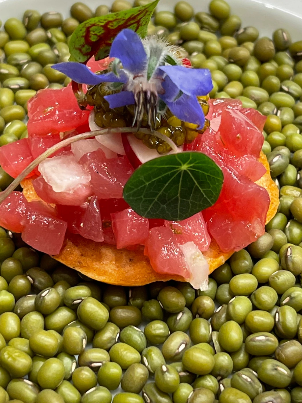 Tuna Tartar with homemade tartllet.jpg Tuna Tartar with homemade tartllet.jpg