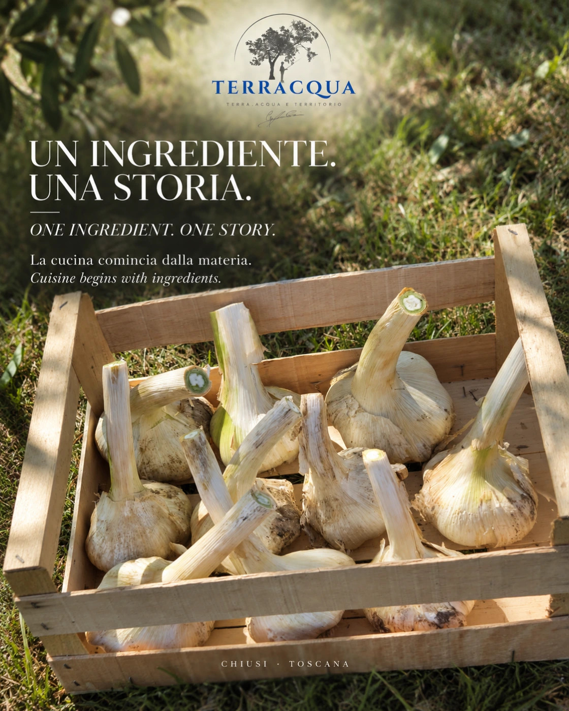 image-gen-3(10).png image-gen-3(10).png