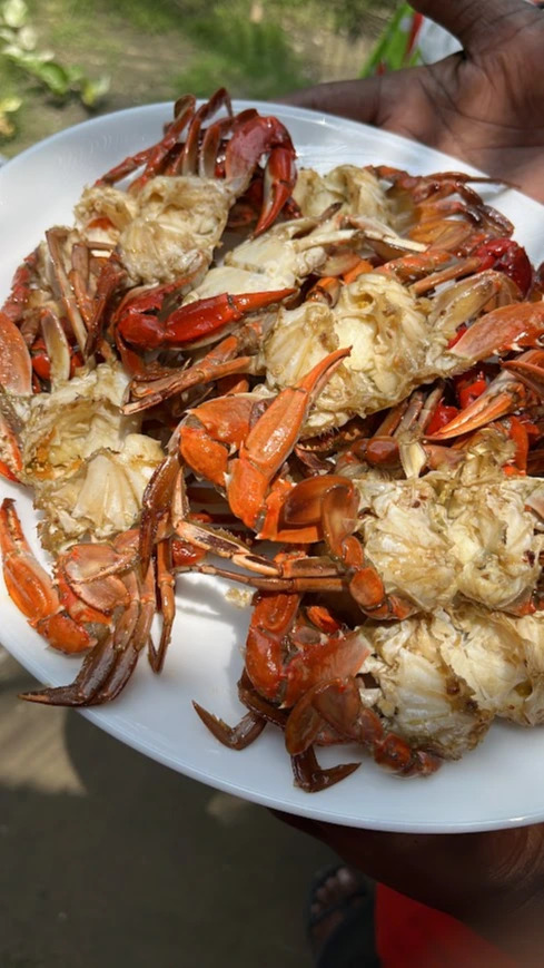 AB59D4BD-D397-40B7-A272-F44B08DA5D03.jpg