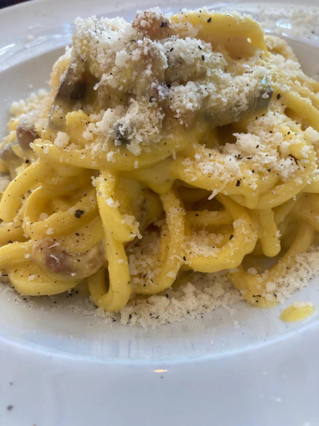 carbonara.jpeg carbonara.jpeg