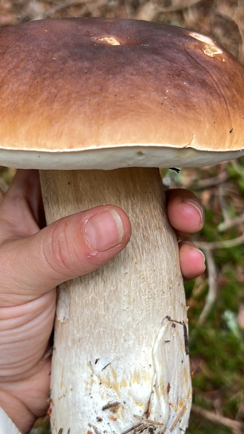 F58815F5-810B-47C8-9629-FB21F121A373.JPG F58815F5-810B-47C8-9629-FB21F121A373.JPG