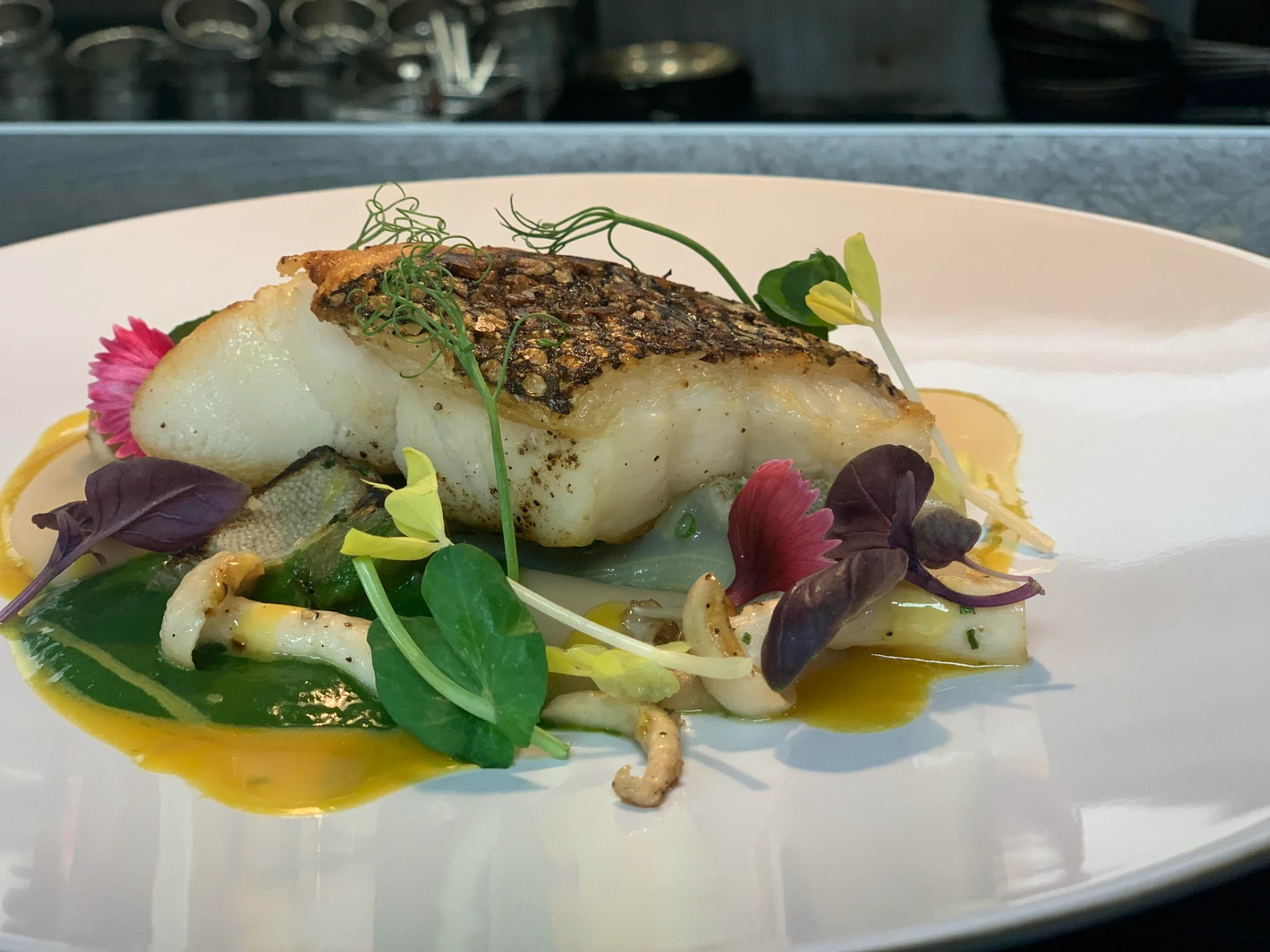 Seabass.jpg Seabass.jpg