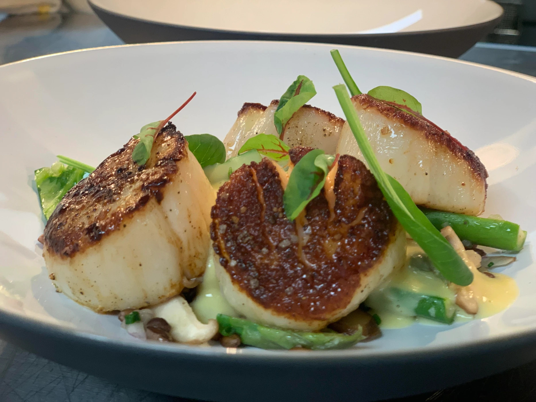 Scallop corn asp.jpg Scallop corn asp.jpg