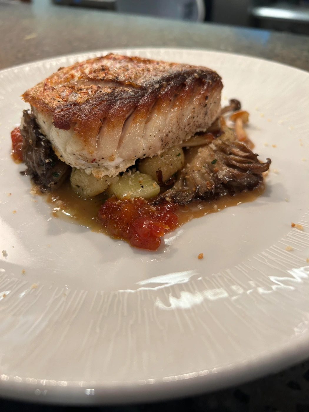 Snapper Gnudi setup.jpg Snapper Gnudi setup.jpg