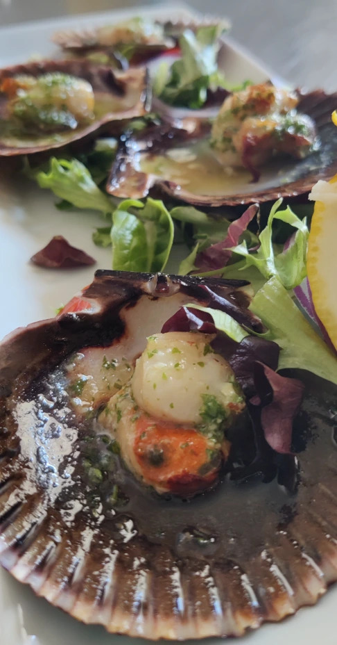 Sabor de Mar