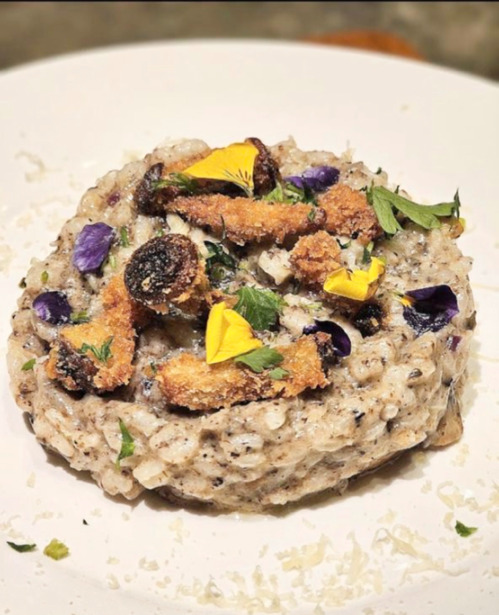 Best of Vegetarian World