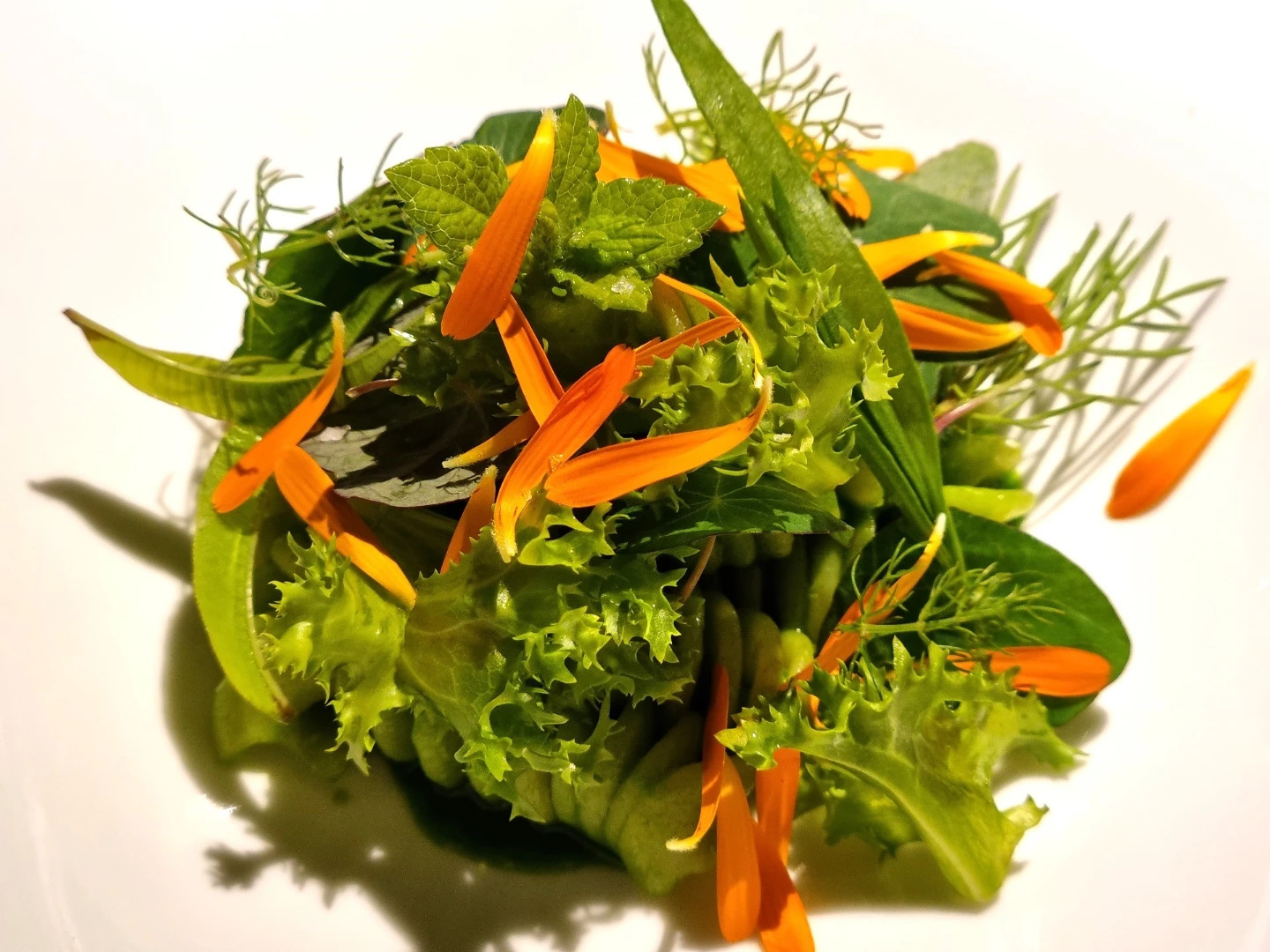 Il Giardino (vegetariano)