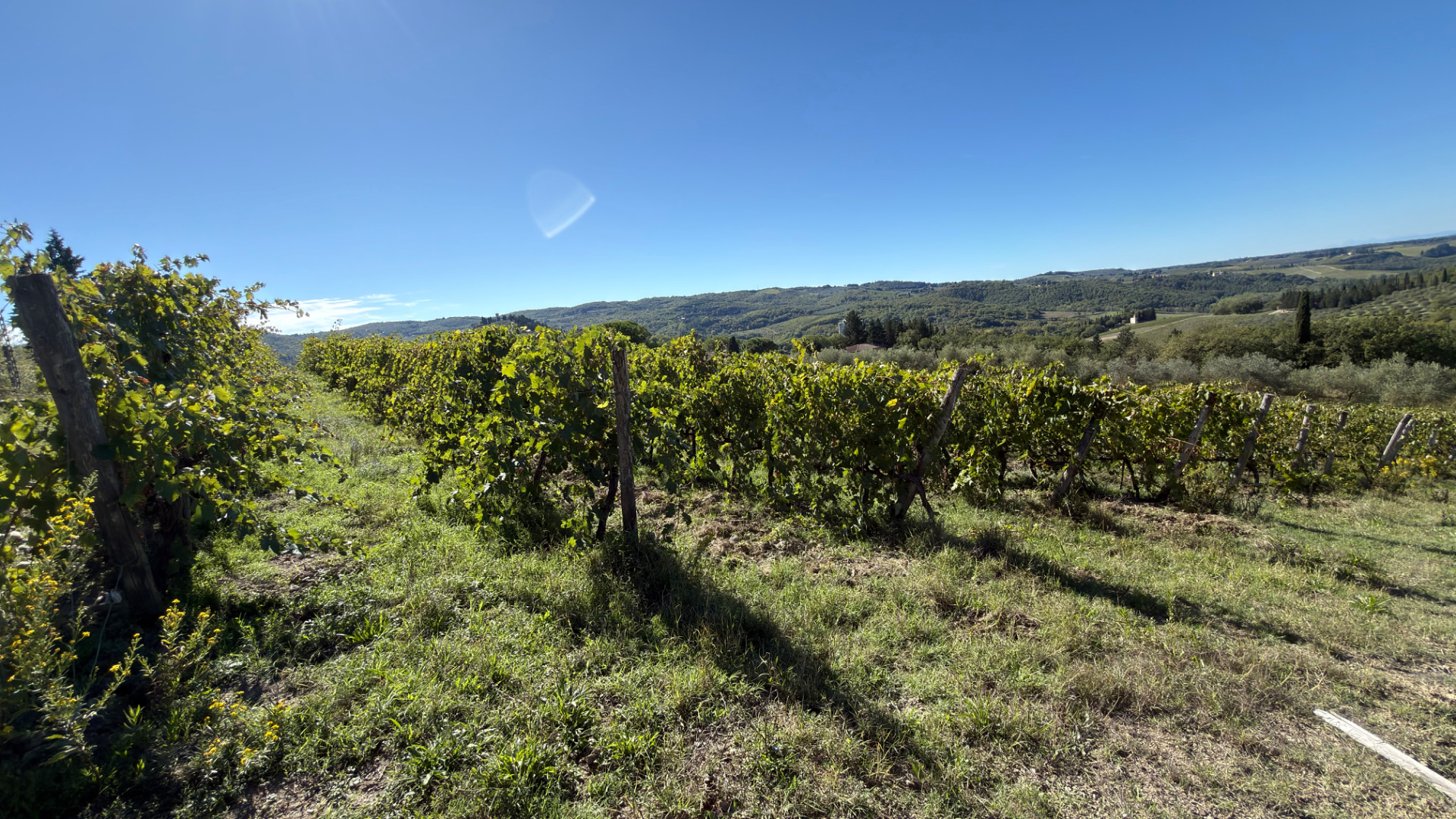 Rustico Italiano: Tuscan Heritage