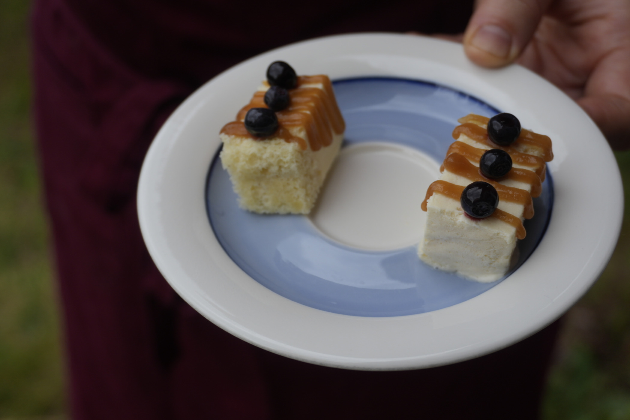 _DSC1155.jpeg _DSC1155.jpeg
