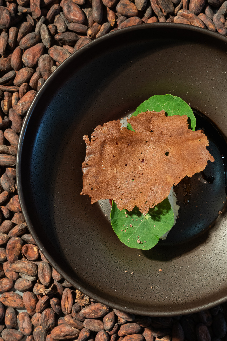MFWF_2025_Aleesandro_Luppolo_Credit_Carmen_Zammit_LR-5844.jpeg