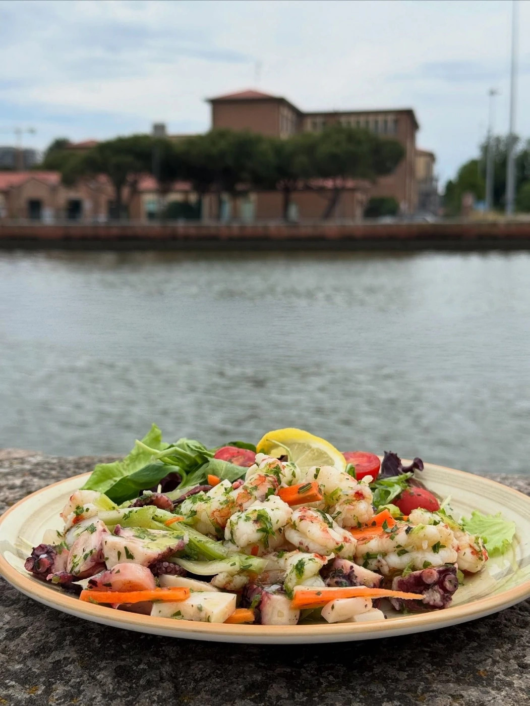 insalata_di_mare_alla_veneziana_chef_ali.jpg insalata_di_mare_alla_veneziana_chef_ali.jpg