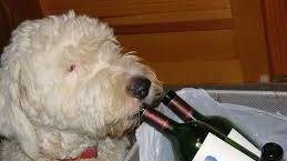 wine tasting.jpg