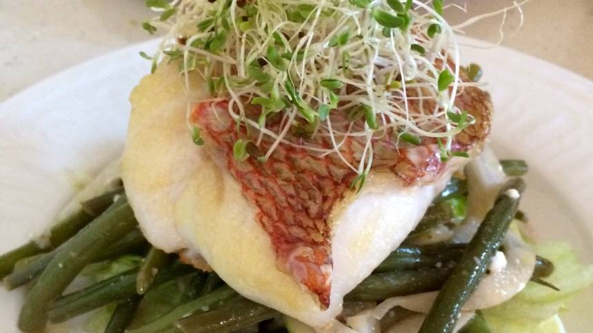 9redsnapperfiletandcrunchyvegwithcitrussauce.jpg