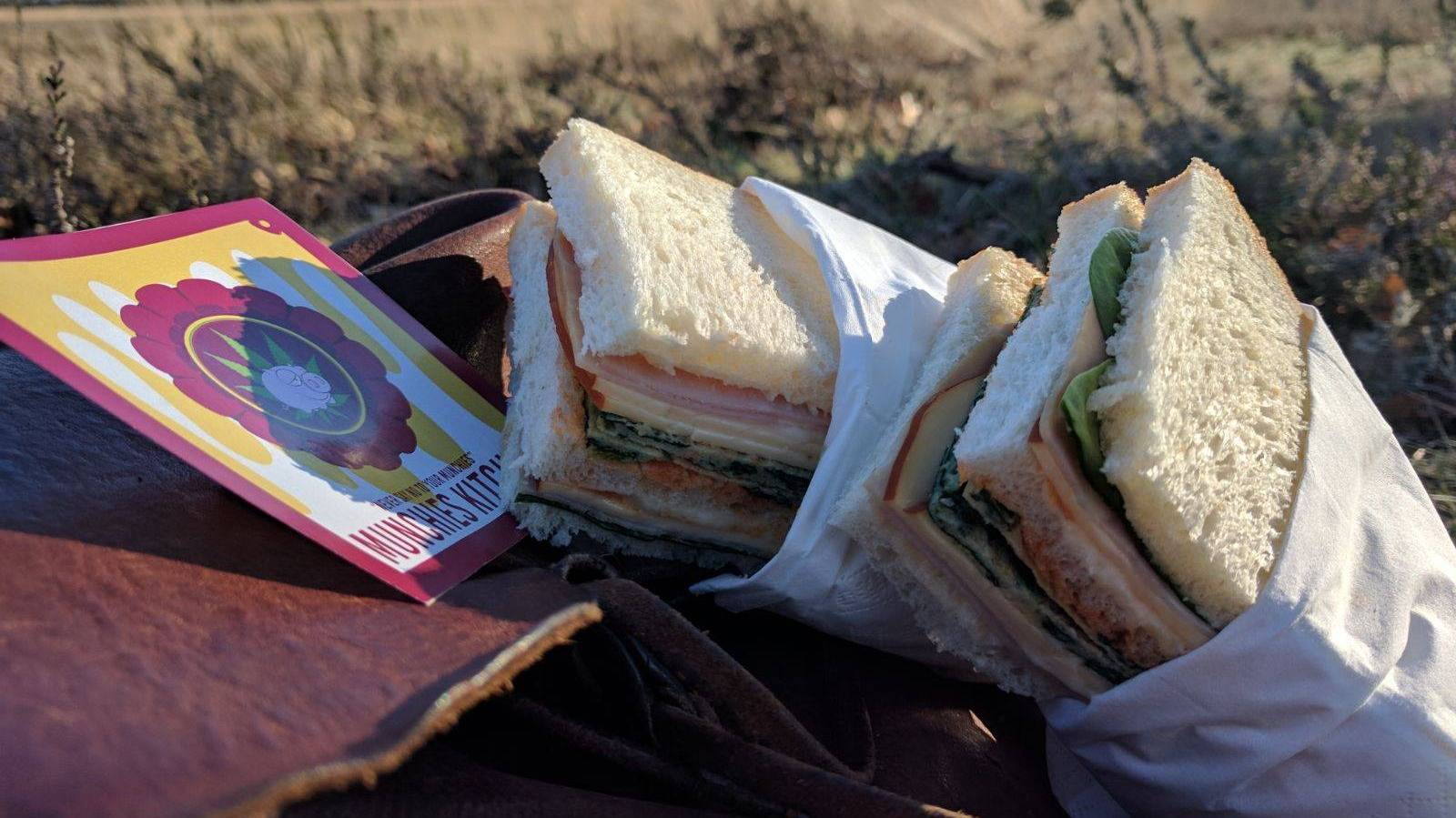 17917407_1312170142185390_1092872124797956957_o.jpg 17917407_1312170142185390_1092872124797956957_o.jpg