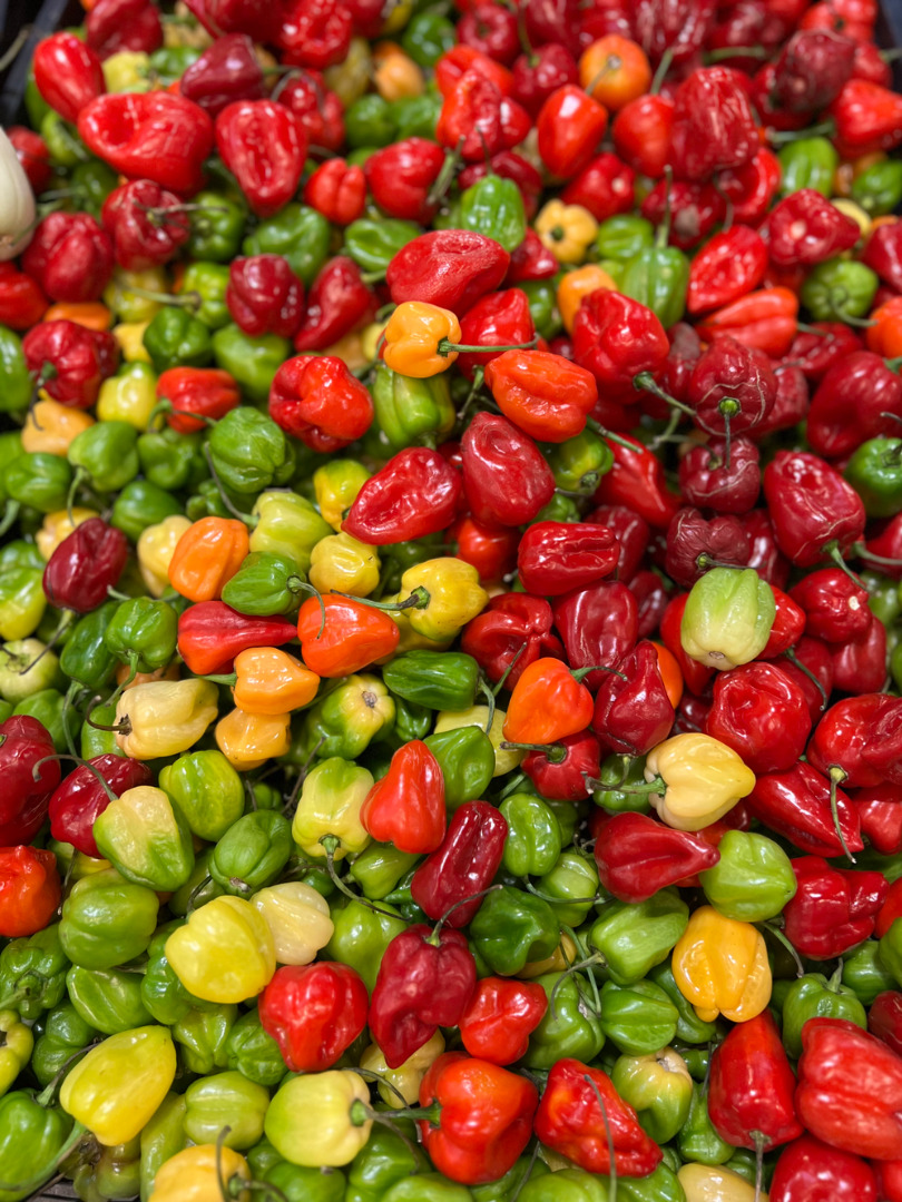 Mexican Cuisine