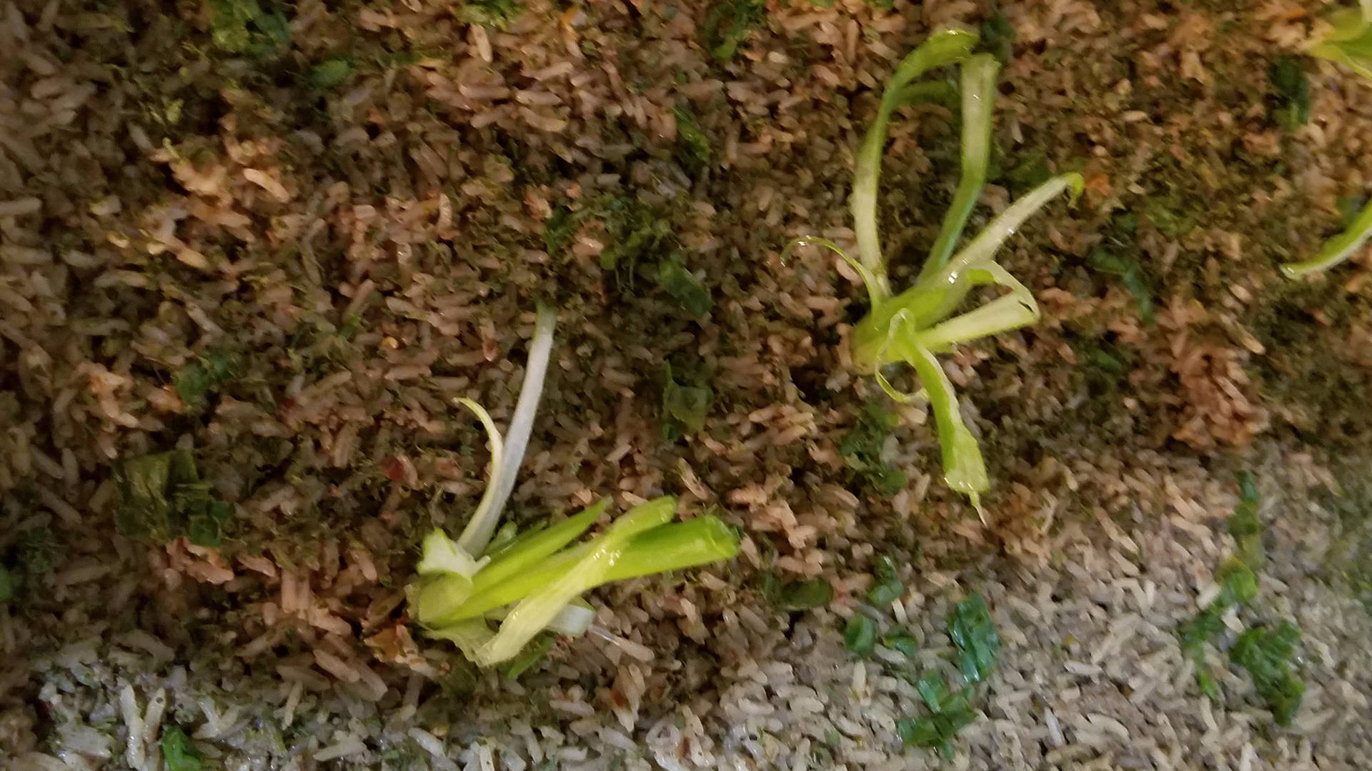 20170205_191719.jpg 20170205_191719.jpg