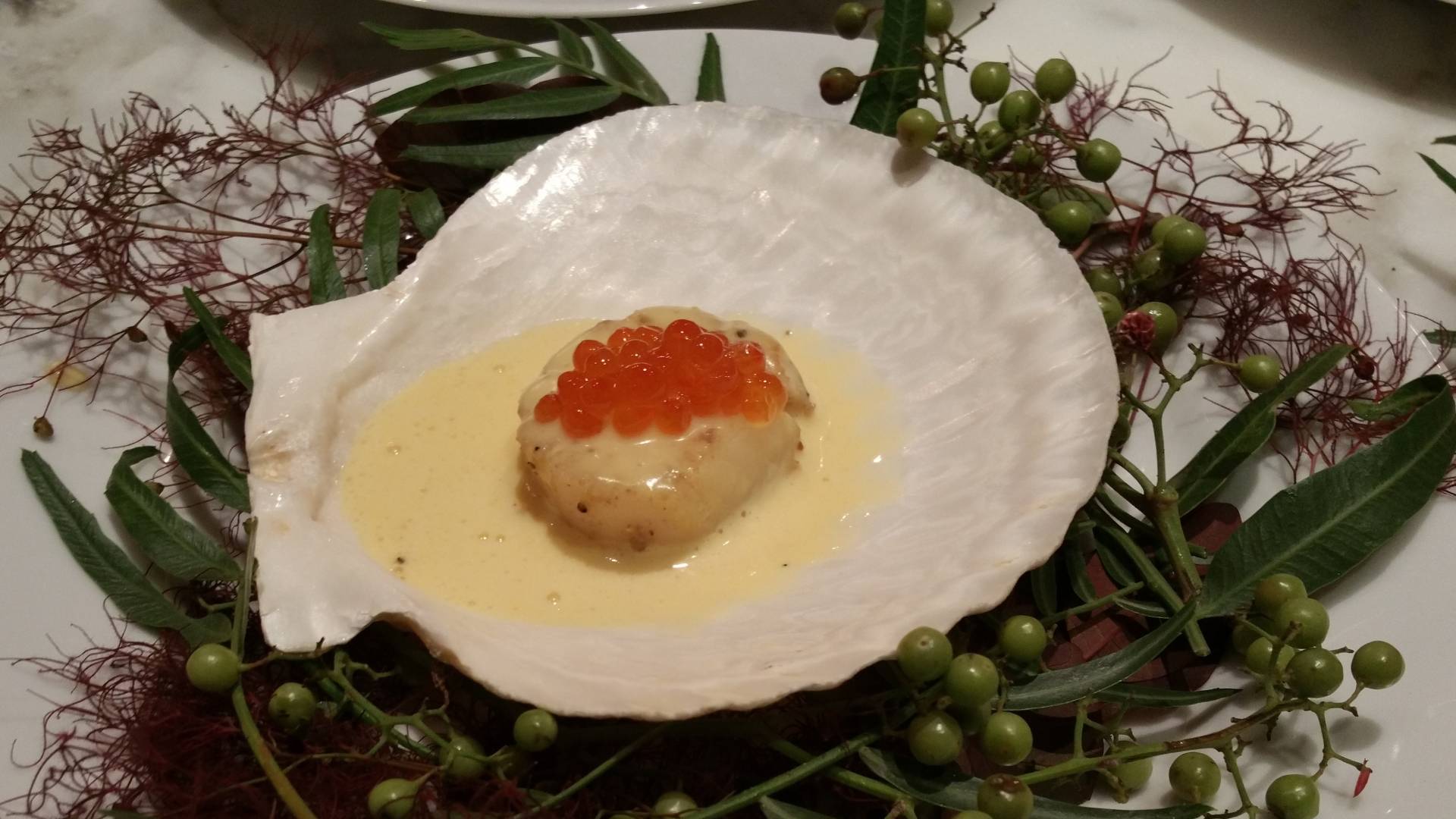 20160625_201004.jpg