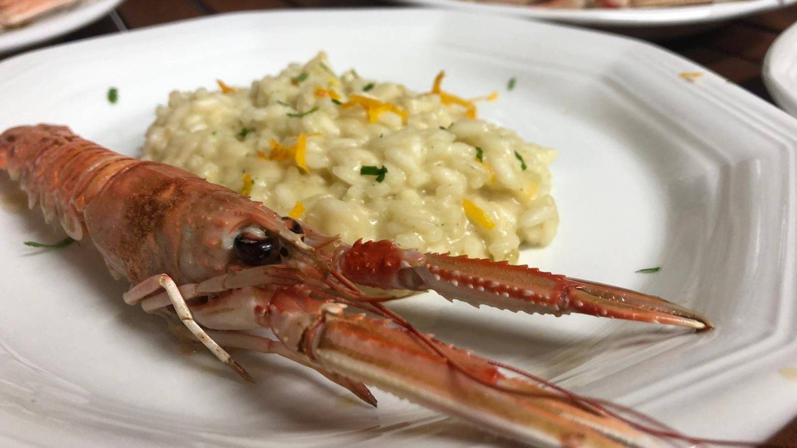 WhatsApp Image 2019-11-08 at 16.20.29.jpeg WhatsApp Image 2019-11-08 at 16.20.29.jpeg