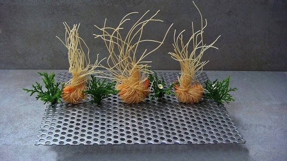 Japanese