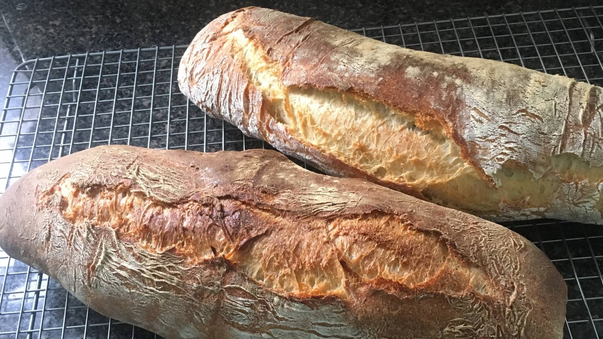 Two Day fermented .JPG Two Day fermented .JPG