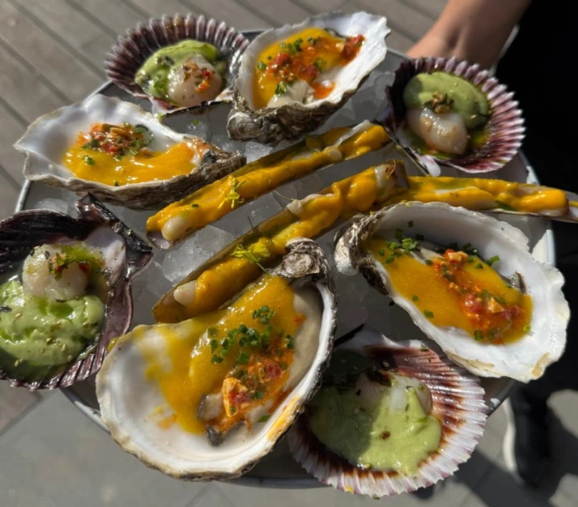 Tasting from the sea