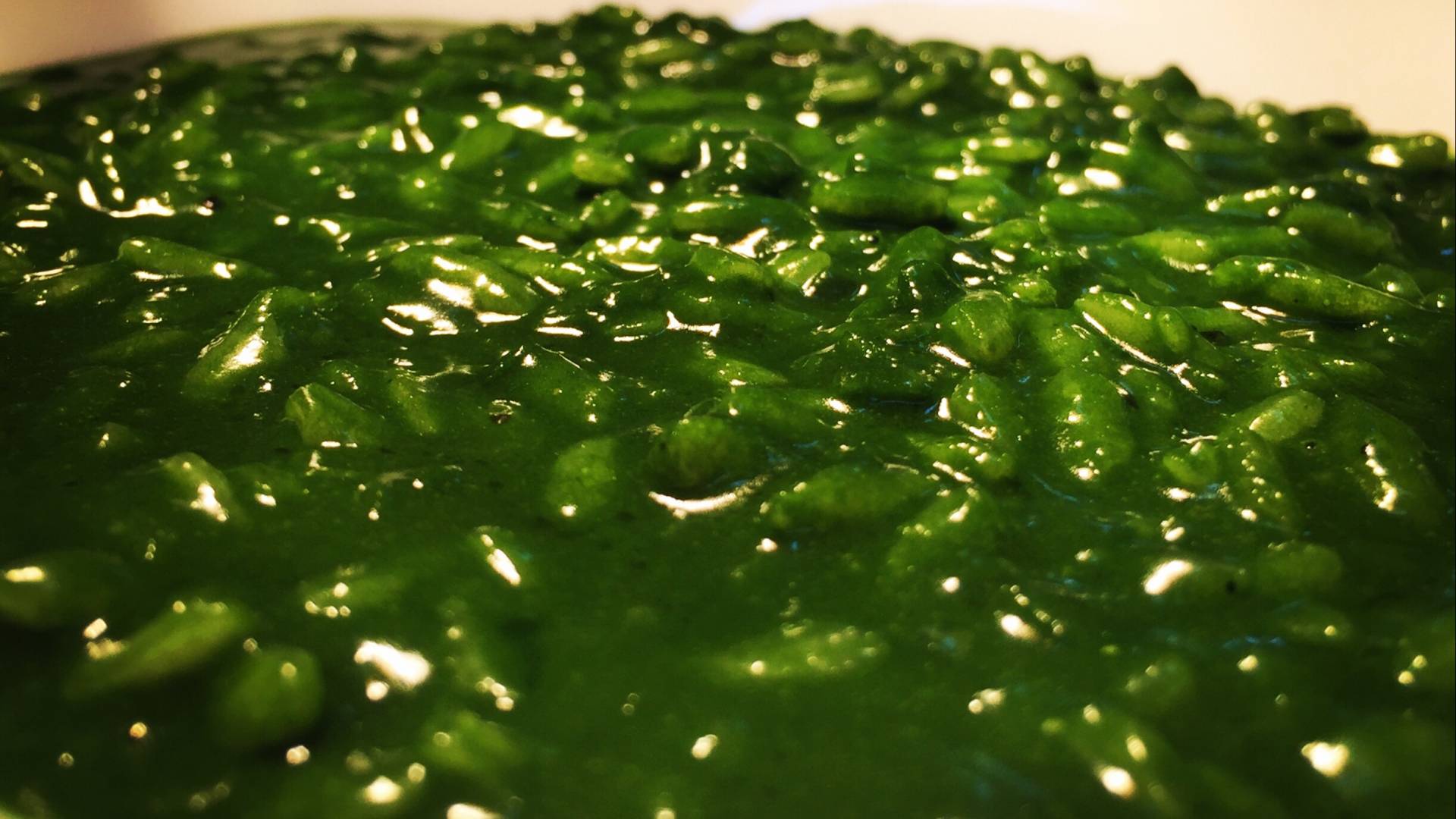 9478EDB3-6764-4D1A-882A-570B0A463973.jpeg 9478EDB3-6764-4D1A-882A-570B0A463973.jpeg