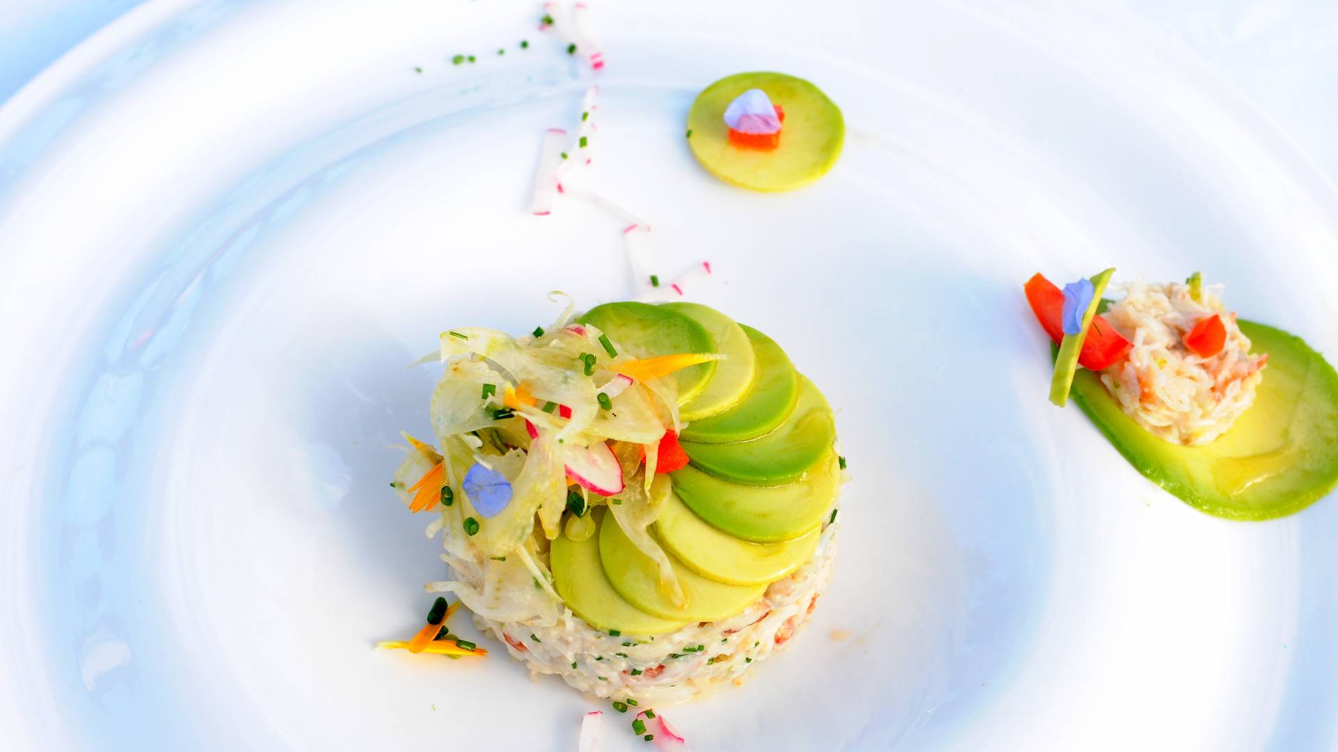 avocat-tourteau.jpeg