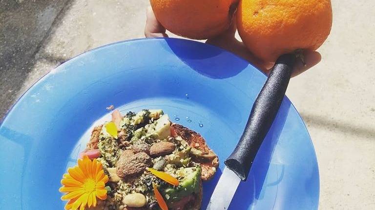Tosta de fermento y calendula.jpg Tosta de fermento y calendula.jpg