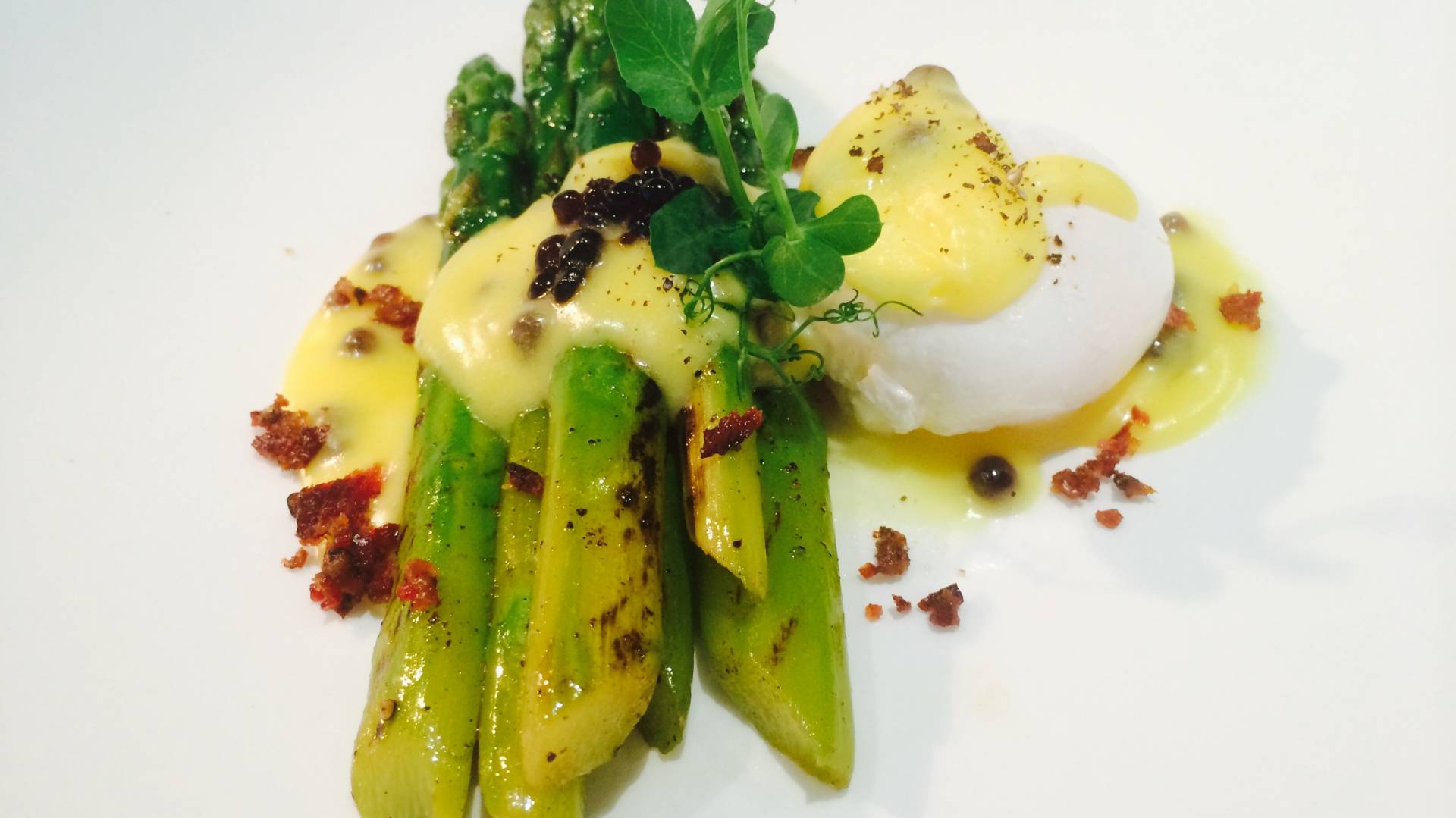 grilled asparagus with poached egg and hollandaise .jpg grilled asparagus with poached egg and hollandaise .jpg