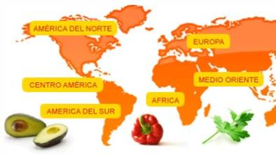 Cocina del mundo. (Carta)