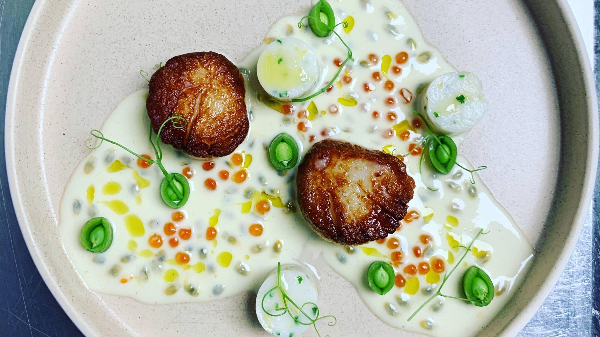 scallop mouselline.jpg scallop mouselline.jpg