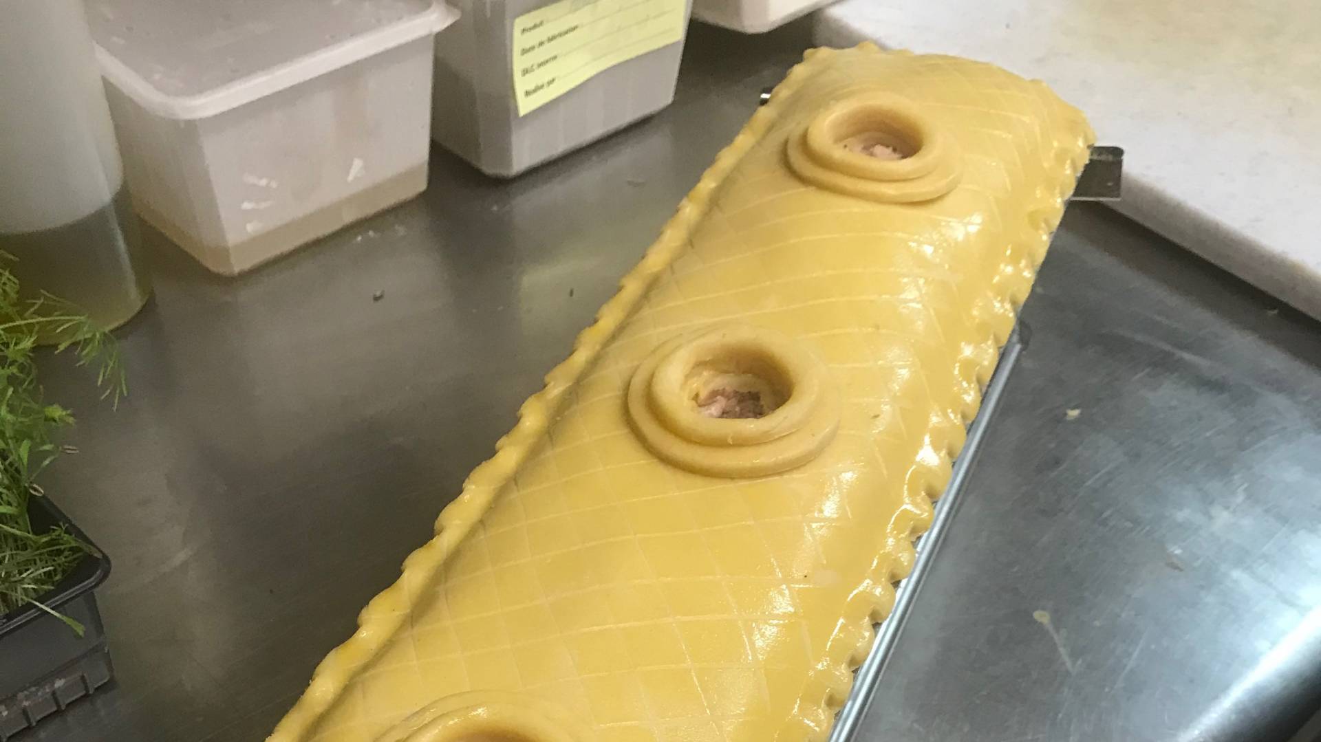 C0032B60-6E76-48B7-89AF-44C3266EB960.jpeg