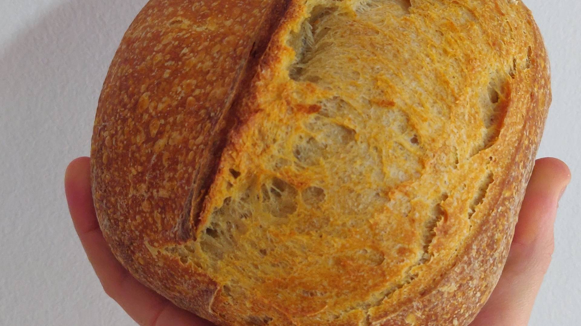 IMG_20210523_114918.jpg IMG_20210523_114918.jpg