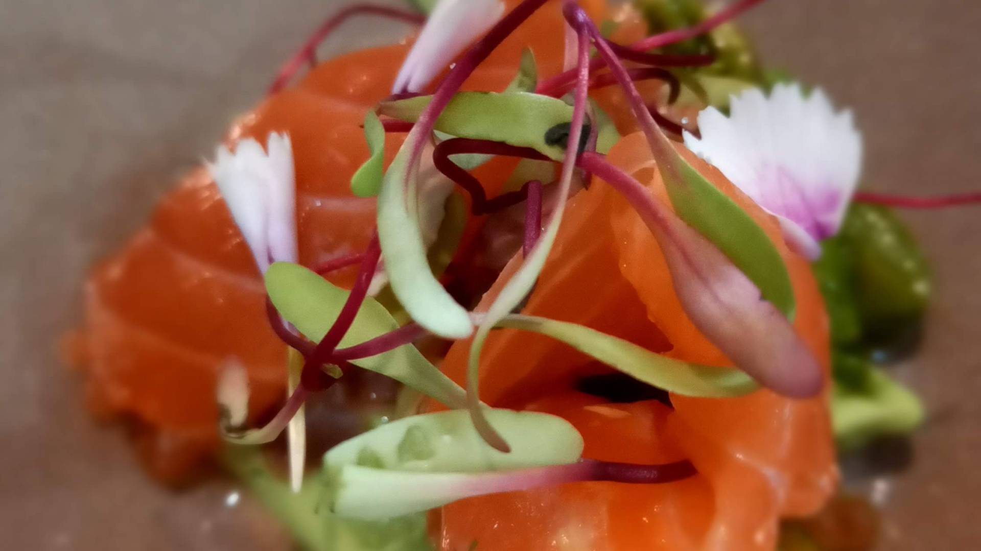 gravlax trucha.jpg gravlax trucha.jpg