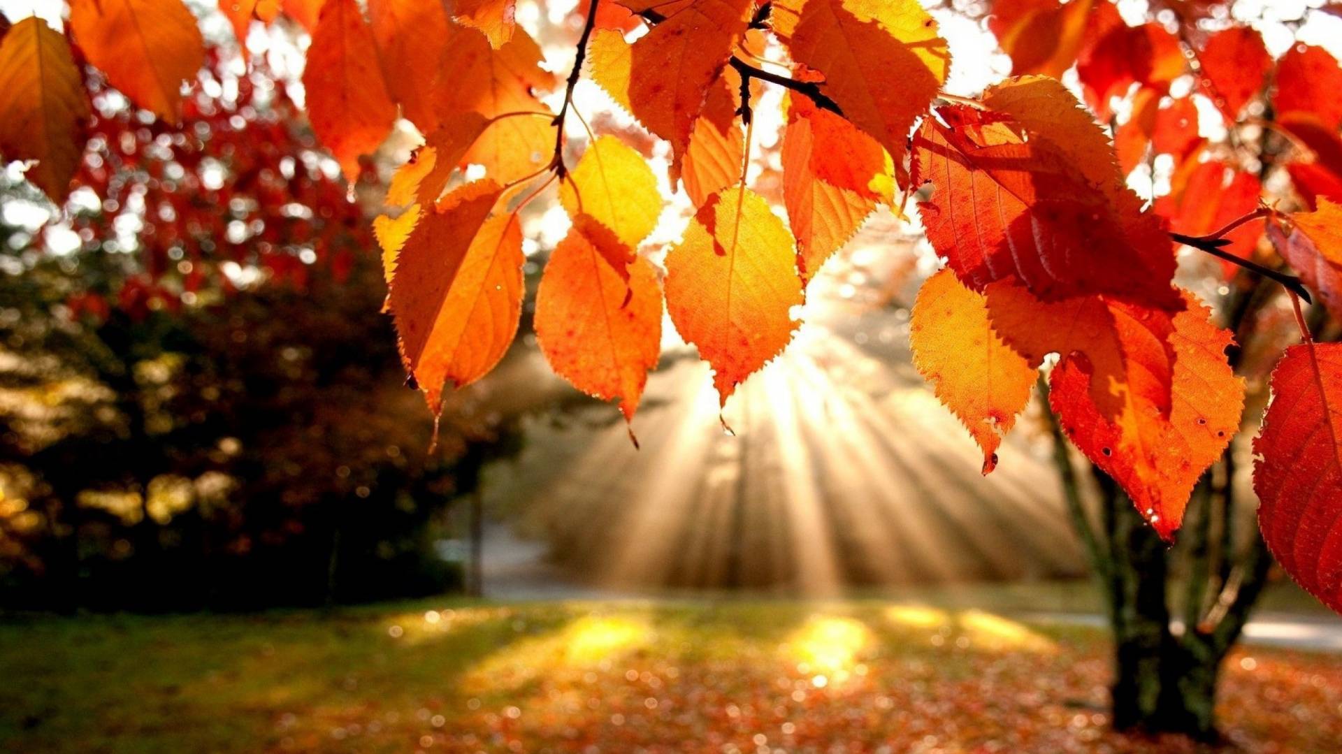 Aria d'Autunno!