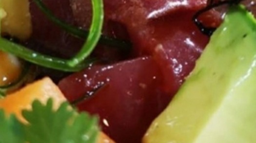 freestyle menu with seasonal, organic and sustainable products