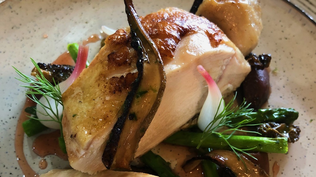 Buttermilk sous vide airline chicken, pheasant back, asparagus, pickled ramp .JPG Buttermilk sous vide airline chicken, pheasant back, asparagus, pickled ramp .JPG